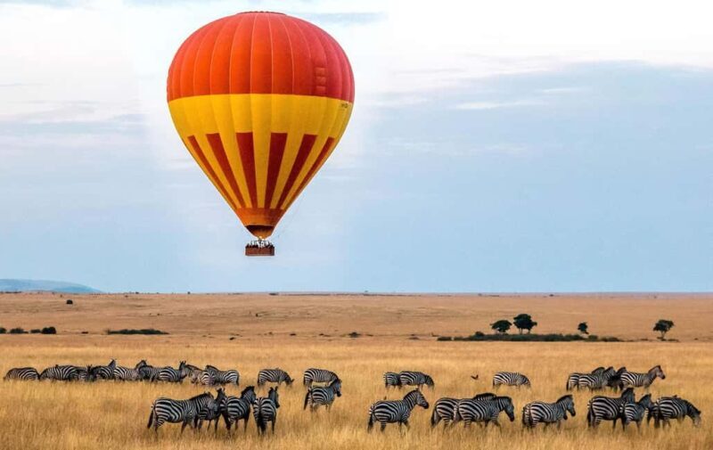 3 Days Maasai Mara Guided Safari from Nairobi - The Whole Experience in Detail