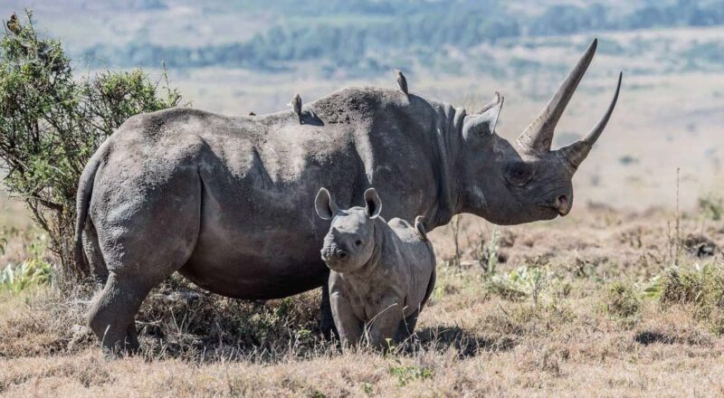 3 Days Maasai Mara Guided Safari from Nairobi - Who This Tour is Best For