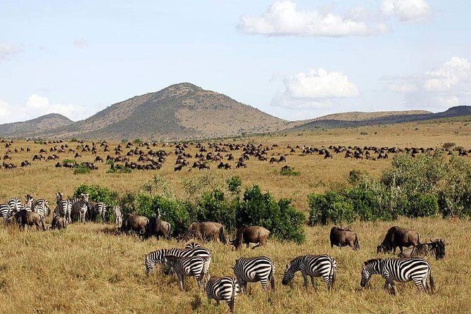 3 Days Maasai Mara Luxury Camping - Key Points