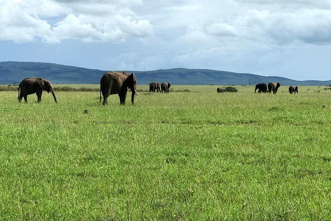 3 Days Maasai Mara Luxury Camping - Who Should Book This Tour?