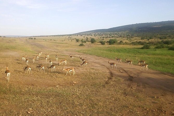 3 Days Maasai Mara Luxury Camping - FAQ