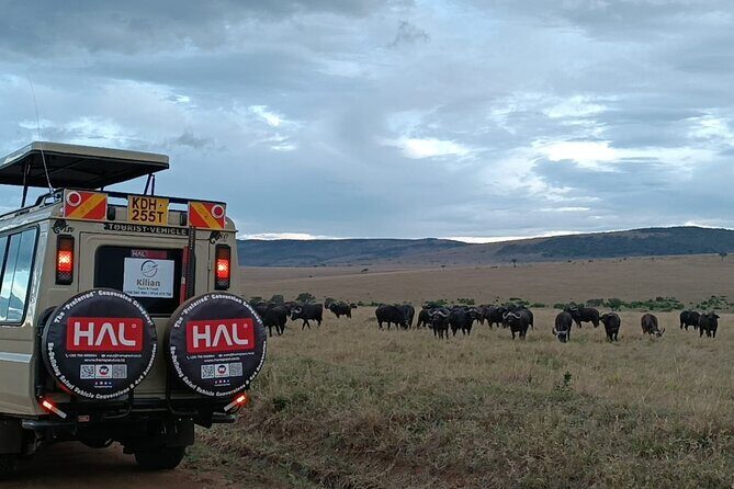 3 Days Maasai Mara Private Safari - Frequently Asked Questions
