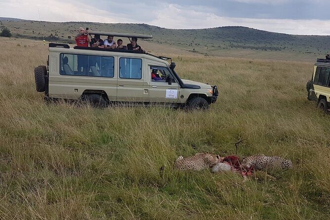 3 Days Maasai Mara Private Safari - Final Thoughts