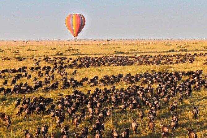3 Days Maasai Mara Safari - A Full Breakdown of the 3-Day Maasai Mara Safari