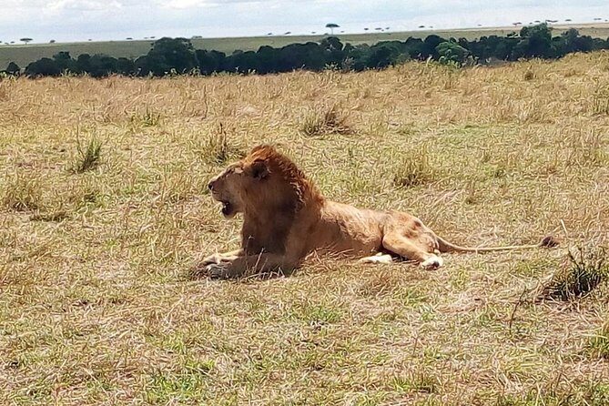 3 days Maasai Mara safari from Nairobi - Key Points