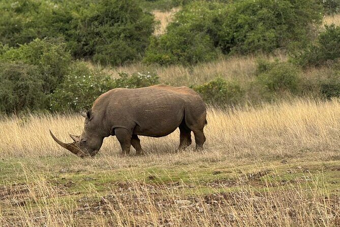 3 Days Maasai Mara Safari With Special Rates - Final Verdict