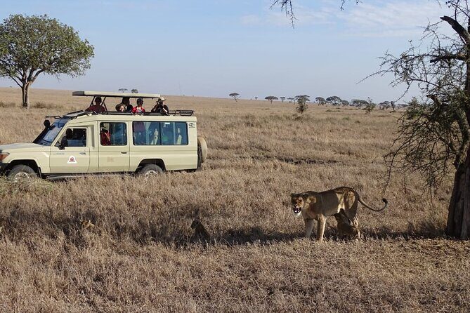 3 Days Maasai Mara Small Group Safari in a 4 x4 Land Cruiser Jeep - What to Expect from Your Maasai Mara Safari