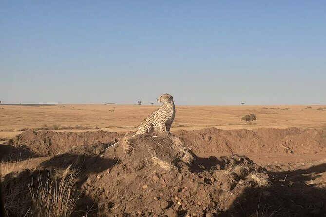 3-Days Maasai Mara unforgettable Adventure- Jeep Private Safari - Critical Aspects: Transportation, Accommodation, and Timing