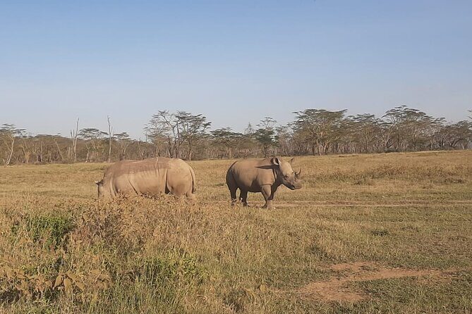 3-Days Maasai Mara unforgettable Adventure- Jeep Private Safari - FAQs