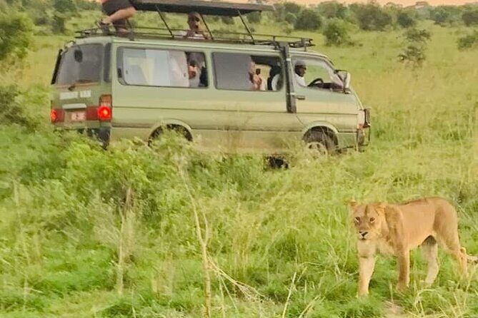 3 Days magical Murchison falls safari - Who Is This Safari Best For?