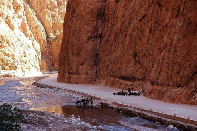 3 Days Marrakech Desert Tour, Luxury Camp, Camel Trekking Tour - Who Should Consider This Tour?