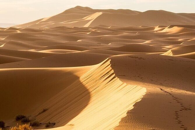 3 days Marrakech to Merzouga in desert - Transportation and Comfort