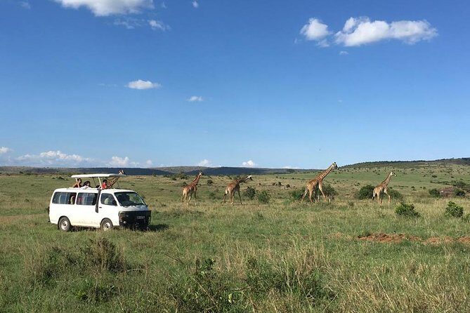 3 days Masai Mara - Whats Included and Whats Not