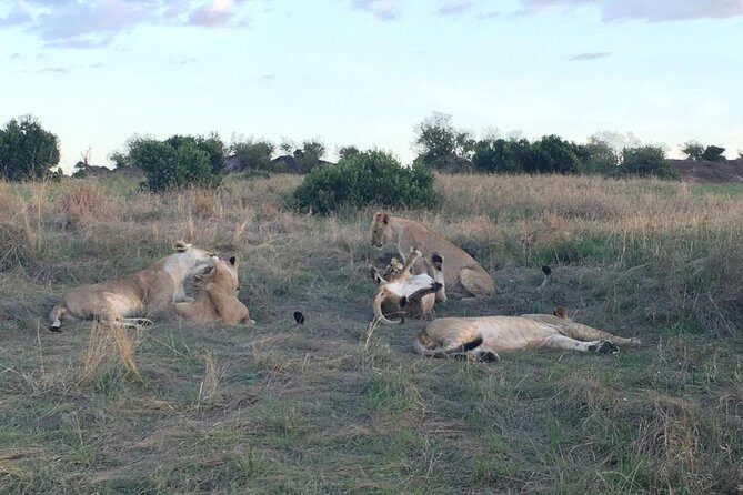 3 days Masai Mara - FAQ
