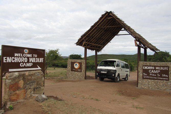 3 Days Masai Mara Budget Safari - The Value of the Experience