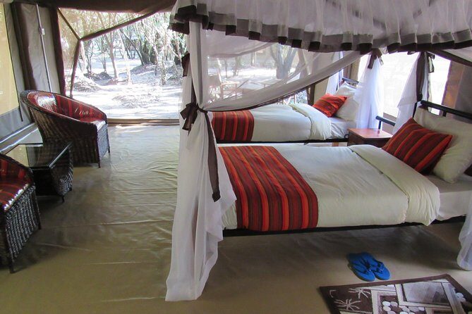 3 Days Masai Mara Budget Safari - Authentic Encounters and Expert Guides