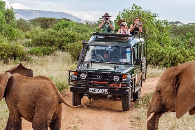 3 Days Masai Mara Budget safari Meals and accommodation included - Authentic Experiences and Traveler Feedback