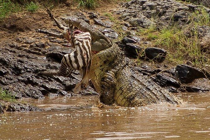 3 Days Masai Mara Flying Safari - Nairobi - Final Thoughts
