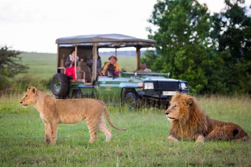 3 Days Masai mara Group joing tour - Introduction