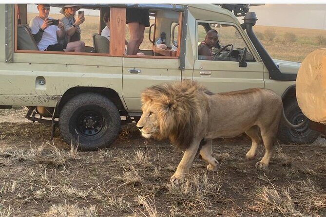 3 Days Masai Mara Jeep Safari - A Detailed Look at the Itinerary