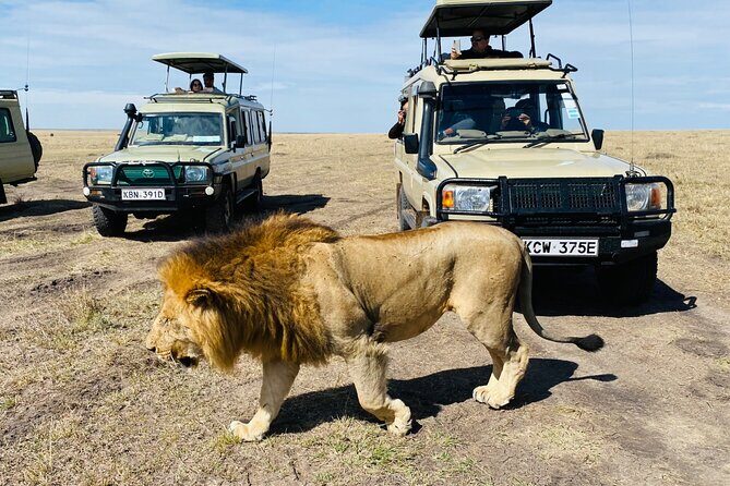 3 Days Masai Mara Jeep Safari - Who Will Love This Tour?