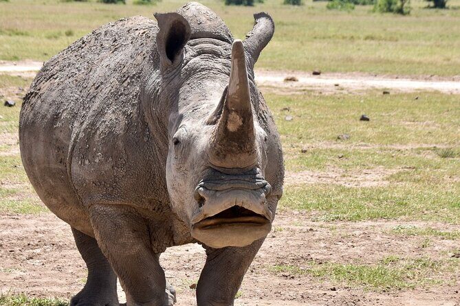 3 Days Masai Mara Luxury Safari - The Practicalities: What You Need to Know