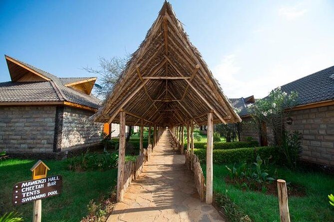 3 days Masai Mara private safari in AA lodge - Final Summary