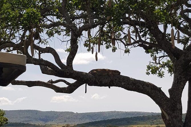 3 Days Masai Mara Safari Group Joining (Daily Departures) - Final Thoughts