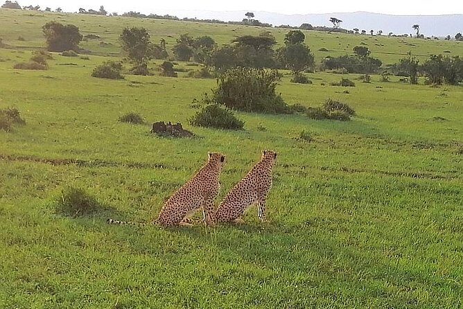 3 Days Masai Mara Safari Group Joining (Daily Departures) - FAQ