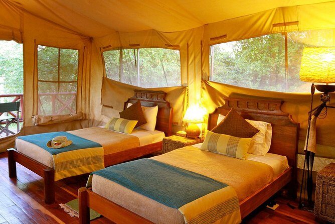 3 Days Masai Mara Wildebeest migration Budget safari - Transportation and Group Size