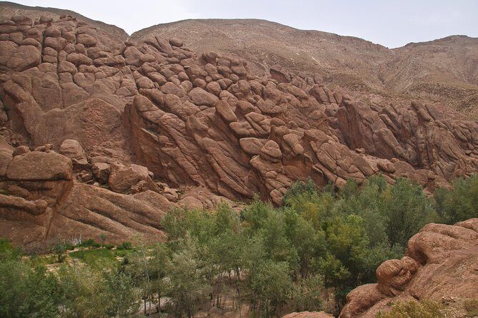 3 Days Merzouga Desert from Marrakech - Who Is This Tour Best For?