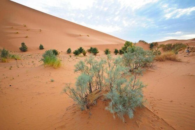 3 Days Merzouga Desert Tour from Marrakech to Fes - Who Would Enjoy This Tour?