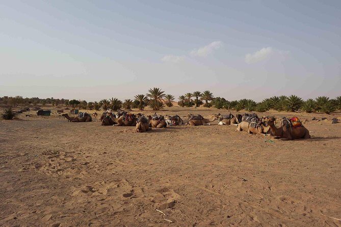 3 Days Merzouga Tour - FAQs