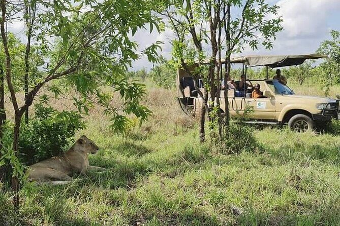3 Days Mikumi National Park From Zanzibar or Dar es salaam - The Sum Up