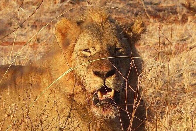 3 Days Mombasa, Taita Hills and Ngutuni Sanctuary Wildlife Safari - A Detailed Look at the Itinerary