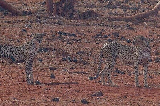 3 Days Mombasa, Taita Hills and Ngutuni Sanctuary Wildlife Safari - FAQs