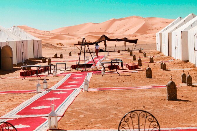 3 Days Morocco Désert Tour - Final Thoughts: Who Should Consider This Tour?