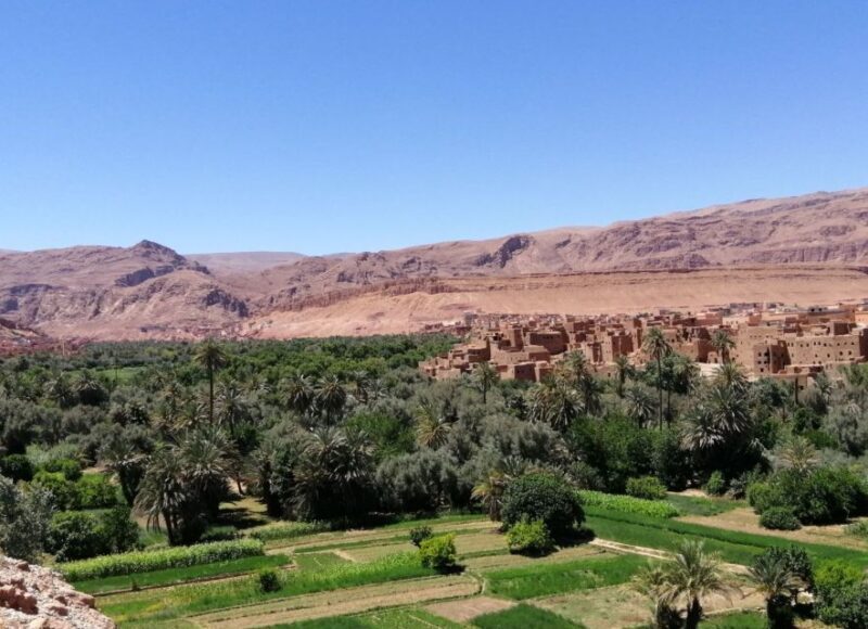 3 Days Morocco Sahara Desert Tour from Marrakech to Fes - Who Is This Tour Best For?