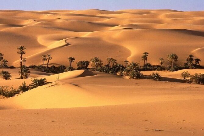 3 Days Multi-day Tour at Marrakech Desert - Who Will Love This Tour?