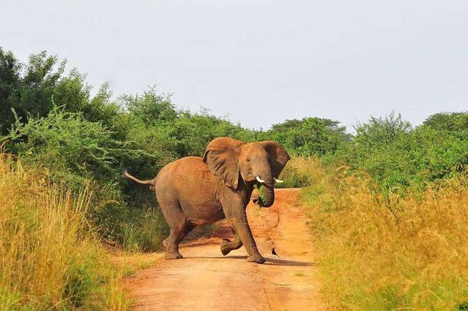 3 Days Murchison Falls - Budget - FAQ