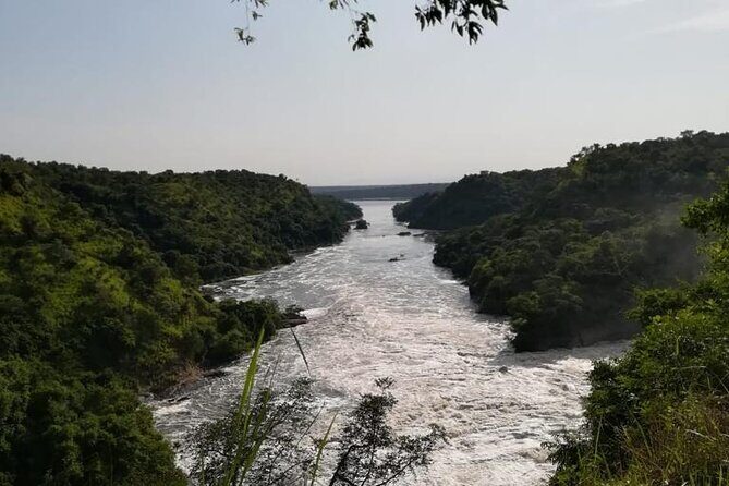 3 Days Murchison Falls National Park Safari & Rhino tracking - The Waterfall and River Cruise: The Heart of the Experience