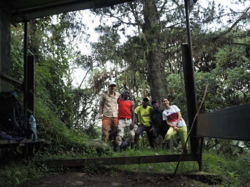 3 days Murchison Falls National Park Uganda - Introduction: What to Expect from This 3-Day Uganda Safari