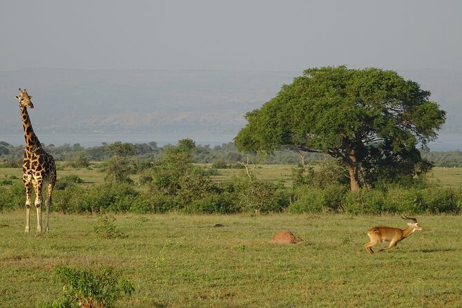 3 Days Murchison falls park Uganda - Key Points
