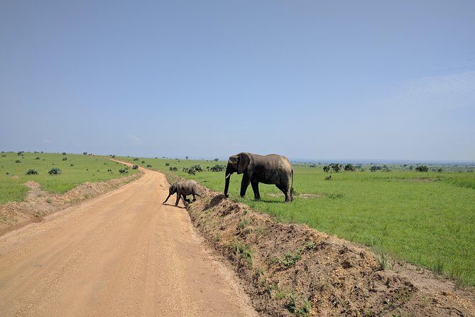 3 Days Murchison falls park Uganda - An In-Depth Look at the 3-Day Itinerary