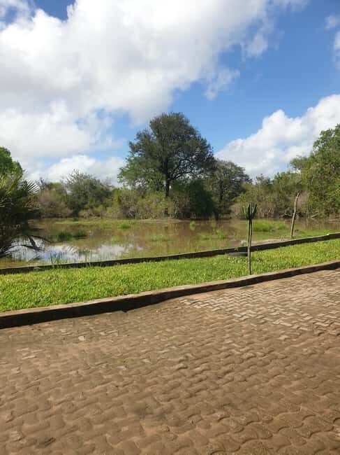 3 DAYS NYERERE NATIONAL PARK FROM ZANZIBAR BY FLIGHT. - An Overview of the 3-Day Itinerary