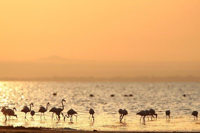 3 Days of Camping Bliss in Serengeti and Ngorongoro Crater - Is This Tour Right for You?