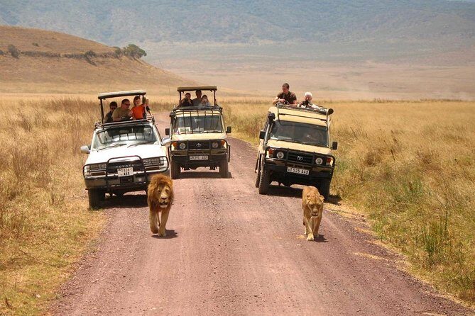 3 Days of Camping Bliss in Serengeti and Ngorongoro Crater - The Sum Up