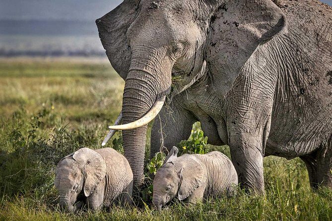 3 Days of Camping Bliss in Serengeti and Ngorongoro Crater - FAQ