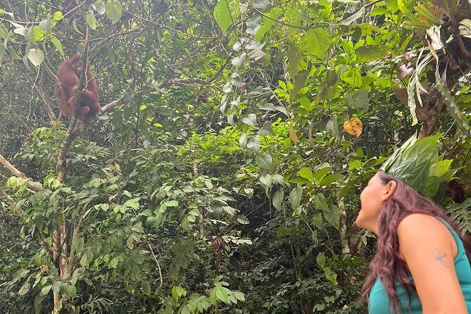 3 Days Orangutan Sumatra Jungle Trekking with Rafting - Frequently Asked Questions