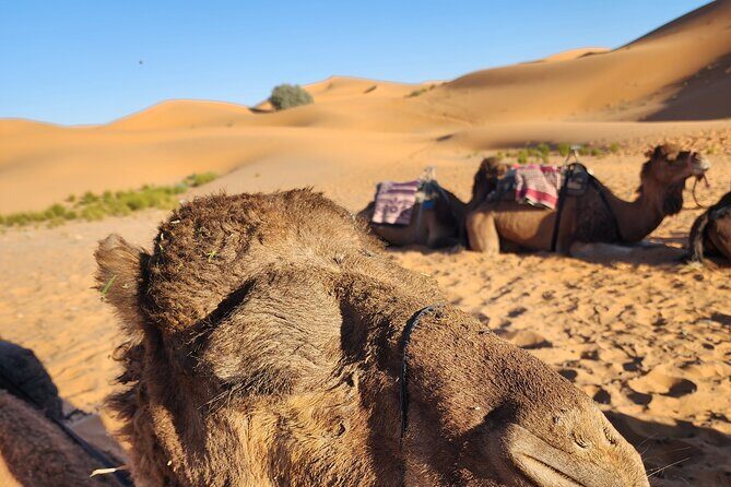3 Days Priavte Desert Tour From Marrakech To Merzouga &Camel Trek - Possible Drawbacks and Considerations